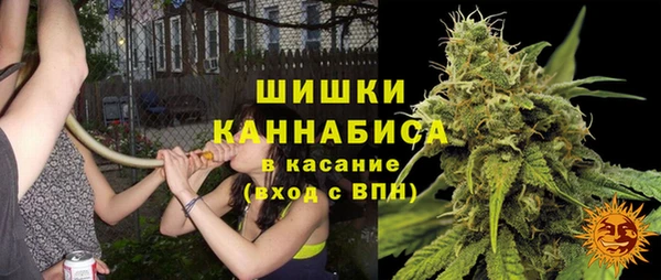 индика Семилуки